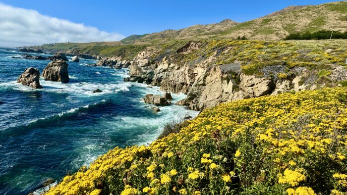 Big Sur Day Retreat- Super-Bloom | May 3rd, 2025