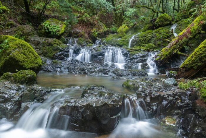 Cataract Falls | Marin | Saturday, February 1st, 2025