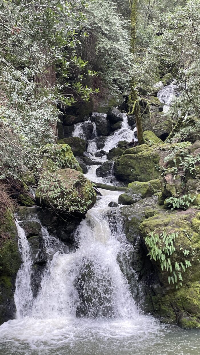 Cataract Falls | Marin | Saturday, February 1st, 2025 - Image 3