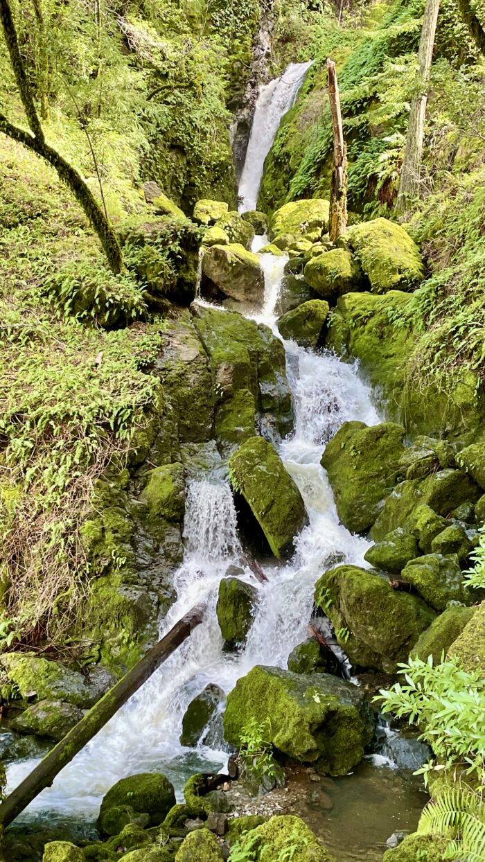 Cataract Falls | Marin | Saturday, February 1st, 2025