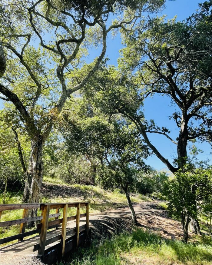 PRE-Mother's Day Celebration - Hike, Yoga, Lunch | Edgewood Park, Redwood City, CA | Saturday, May 10th - Image 7