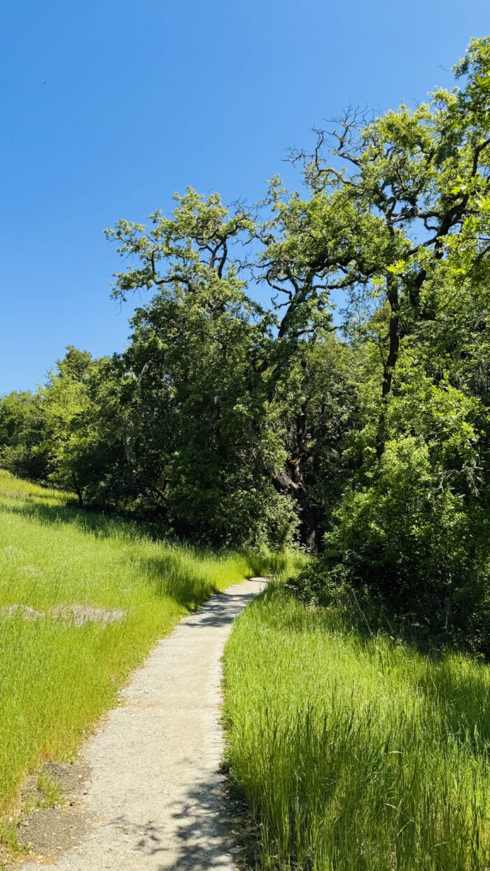PRE-Mother's Day Celebration - Hike, Yoga, Lunch | Edgewood Park, Redwood City, CA | Saturday, May 10th - Image 13