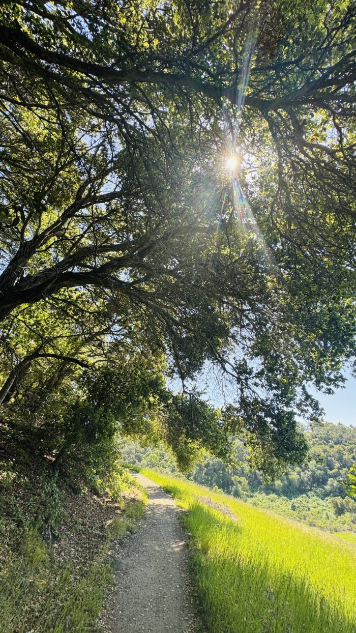 PRE-Mother's Day Celebration - Hike, Yoga, Lunch | Edgewood Park, Redwood City, CA | Saturday, May 10th - Image 12
